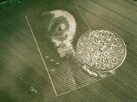 3 Crop Circles Documentaries on DVD (Including a Lecture by Alan Foster)